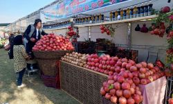 انطلاق فعاليات مهرجان الرمان والخريف في حلبجة بنسخته العاشرة